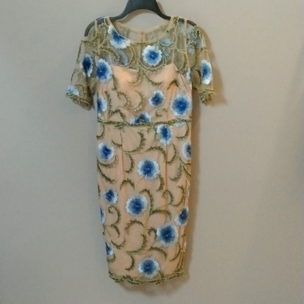 NWOT Adrianna Papell Lace  Embroidery Dress. VINTAGE Fairycore Romantic Size 8